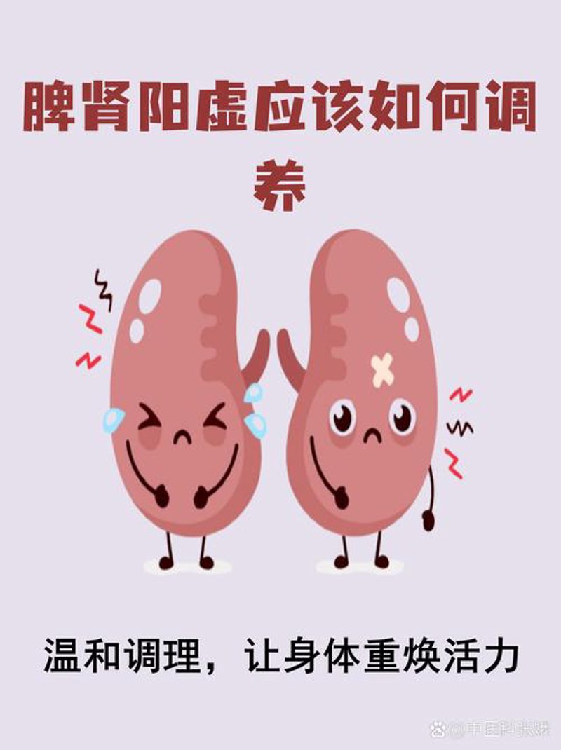 针灸推拿：传统魅力与中国智慧的碰撞